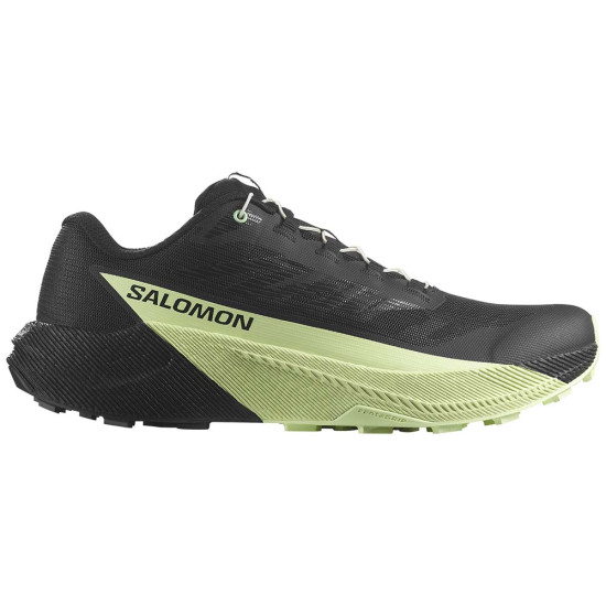 Salomon Pulsar